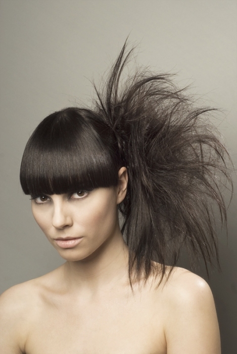 Pierre Alexandre long black Hairstyles